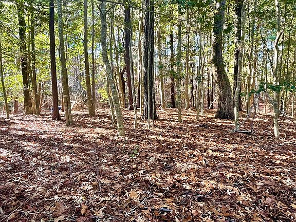 3rd image of LOT 1593 High Sea Dr