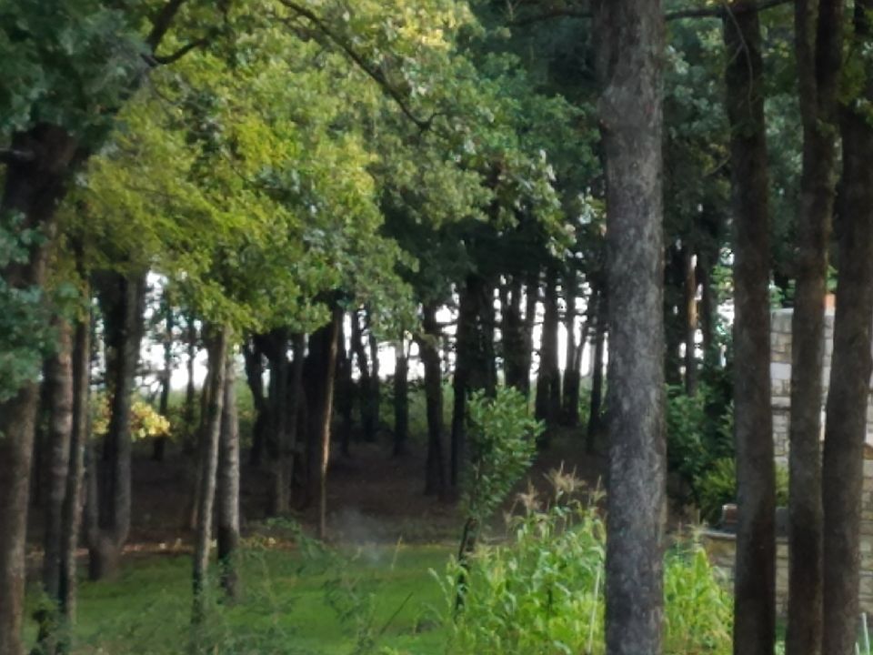 View from back deck