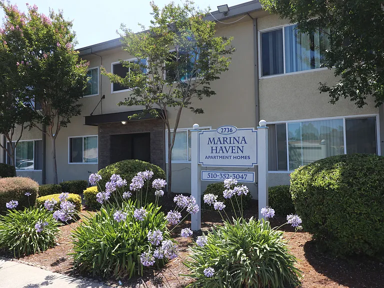Marina Haven Apartments — Photo 6