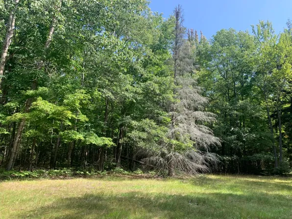 LOT 2 Ace Ln, Eagle River, WI 54521