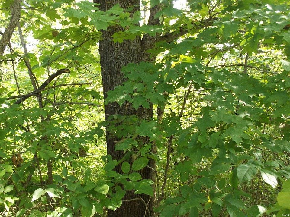 2nd image of 0 Mowen Ln