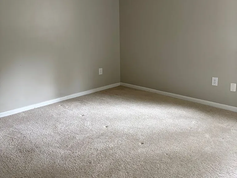 4519B Edwards Mill Rd — Photo 19