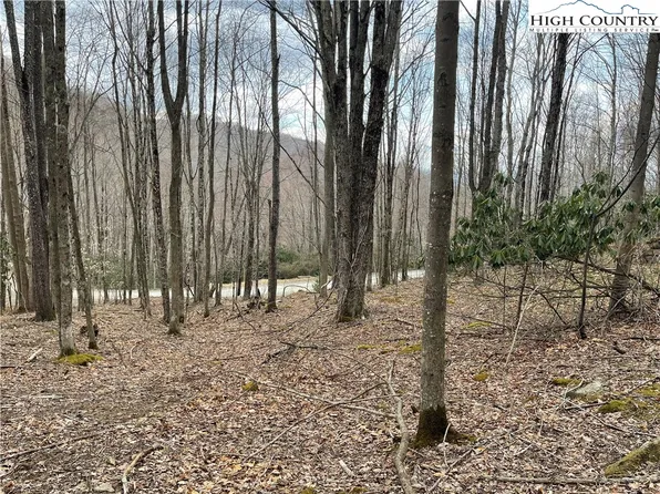 100 Fireweed Lane, Beech Mountain, NC 28604