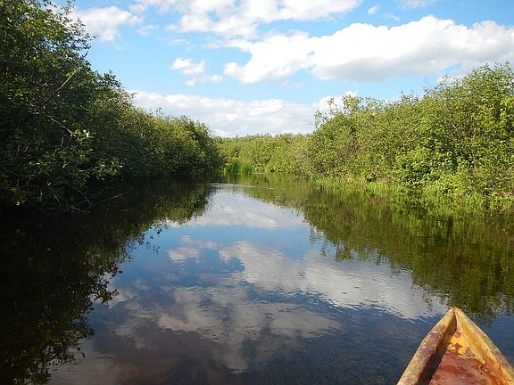 east branch of Lily river