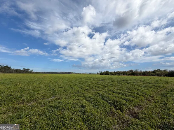 0 Duncan Hand Rd, Hazlehurst, GA 31539