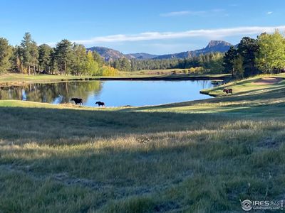 3020 Lake Arapahoe Ct, Red Feather Lakes, CO, 80545