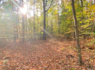 4043 Parker Hollow Rd, Unadilla, NY 13849