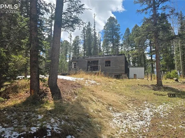 129 Mount Elbert Rd, Florissant, CO 80816
