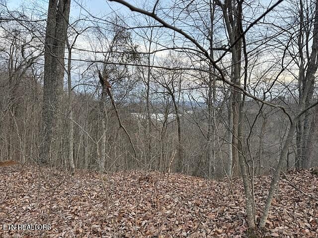1st image of 971 Scenic River Rd