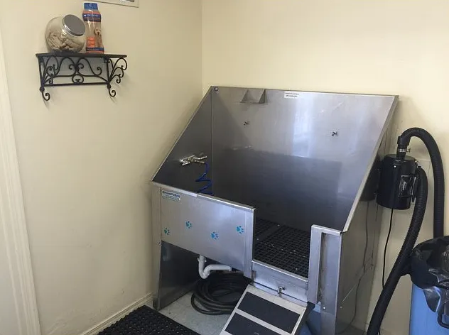 Pet Wash Station for your Furry Friends