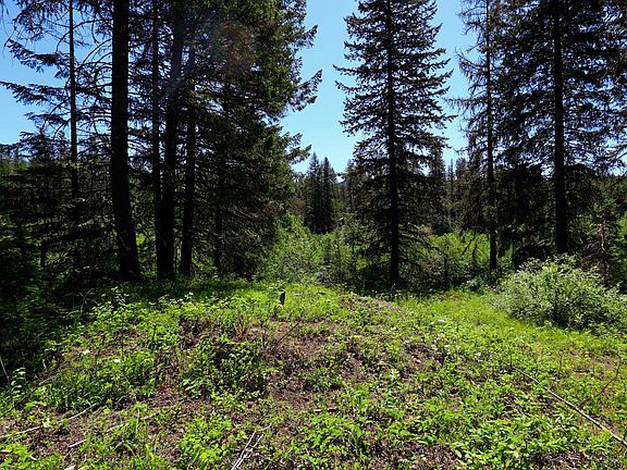 3rd image of 14 Elk Rd