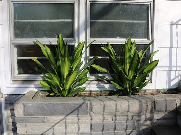 5th image of 164 Robinwood Ave