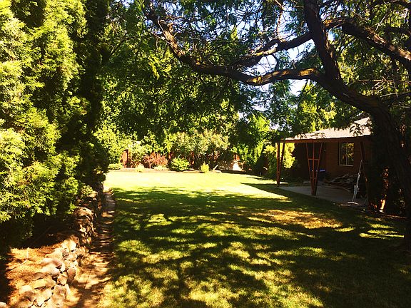 Large tree provides shade