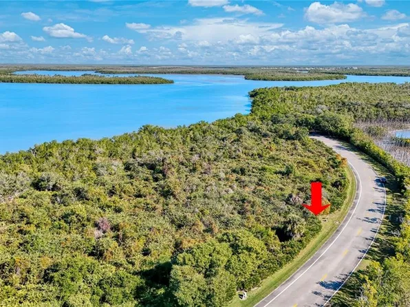 1011 Blue Hill Creek DR, MARCO ISLAND, FL 34145