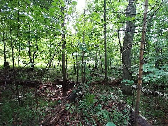 3rd image of LOT 4 Havenwood Hills Dr