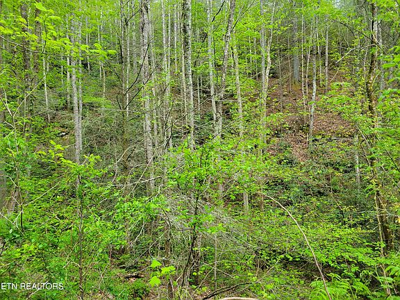 5th image of LOT 45 Alpine Dr