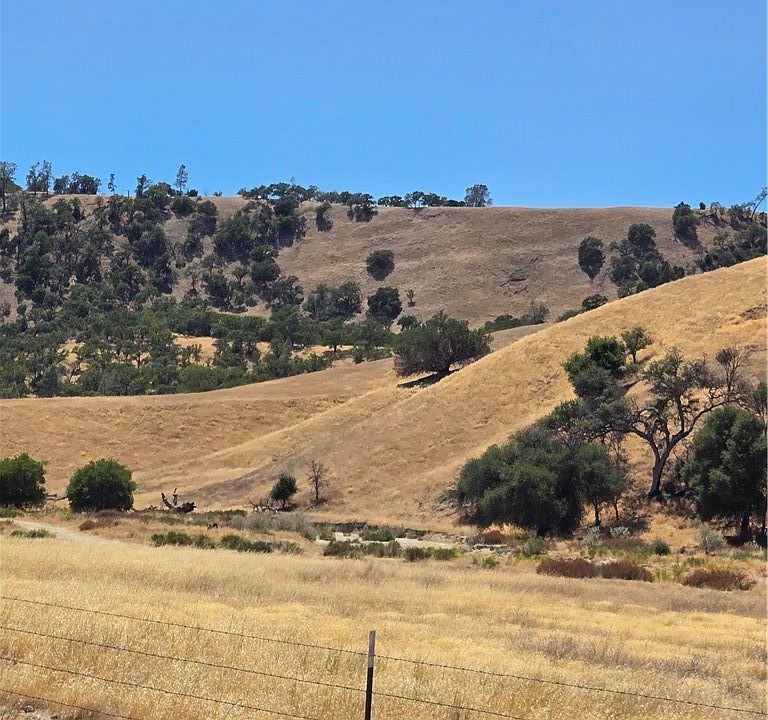 1st image of 71903 Vineyard Canyon Rd