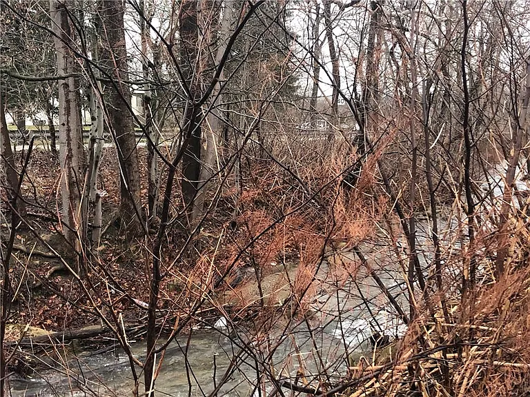 162 Turkeyfoot Rd #A — Photo 10