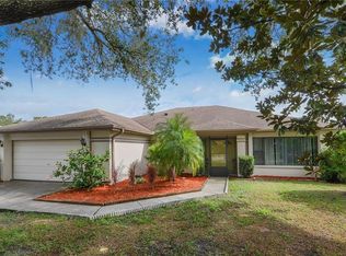 4304 Ellenville Pl, Valrico, FL 33596