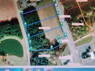 S Georgetown Hwy, Johnsonville, SC 29555