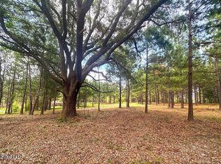 23AC Hinton Rd, Lucedale, MS 39452