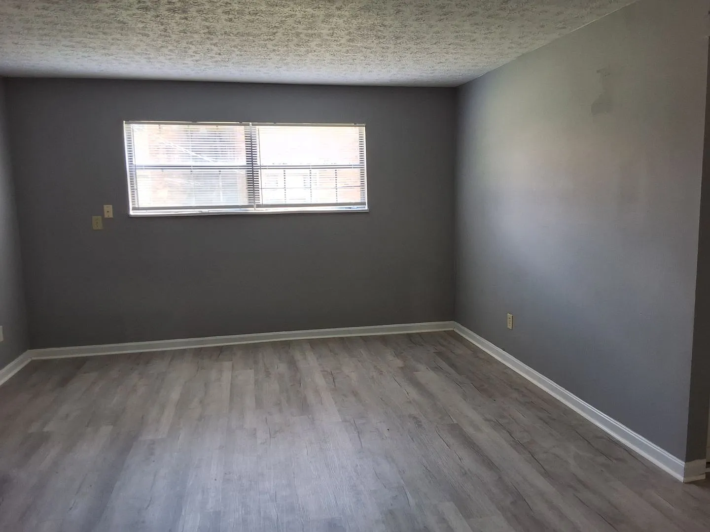 345 Elmwood Drive — Photo 2