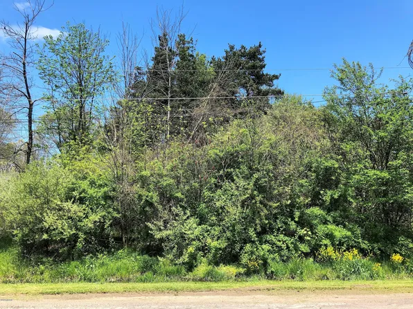 Landsburg Rd, Fennville, MI 49408