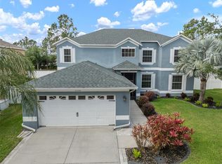11310 Callaway Pond Dr, Riverview, FL 33579