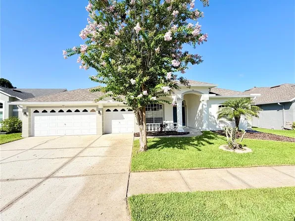 14606 Coral Berry Dr, Tampa, FL 33626