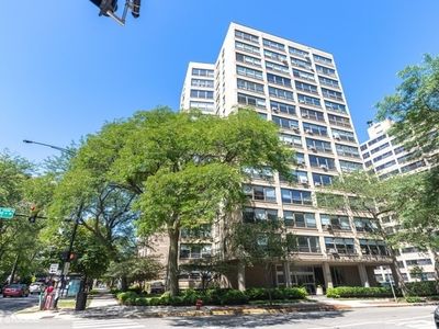 5050 S East End Ave APT 9B, Chicago, IL, 60615