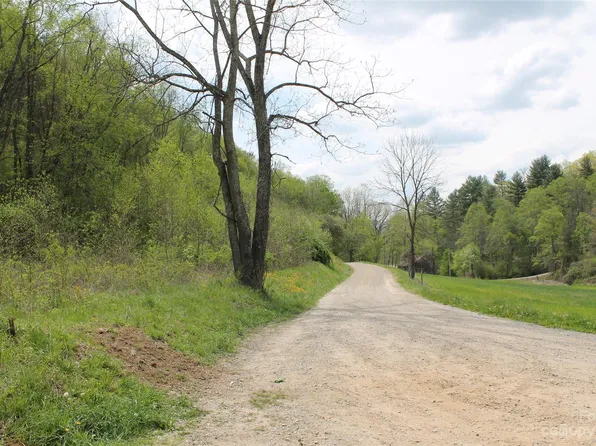 2 Long Branch Rd, Clyde, NC 28721