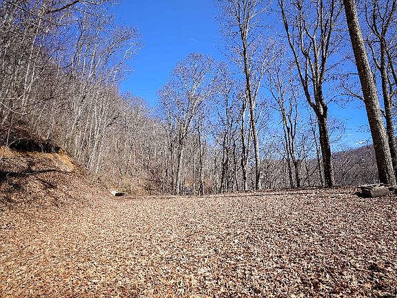 2nd image of 0 Long Creek Ln