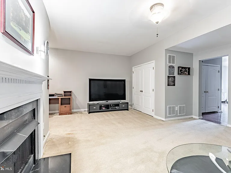 43738 Clemens Ter — Photo 30