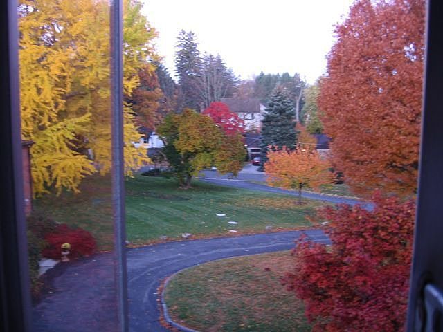 Living room view, autumn