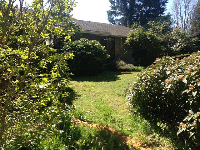 yard_04062016