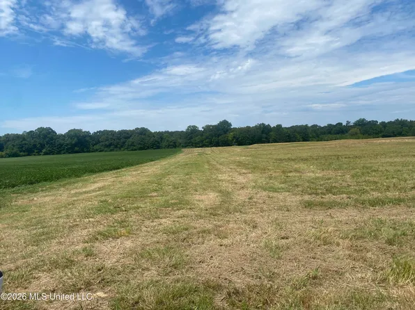 Leesburg Rd, Pelahatchie, MS 39145