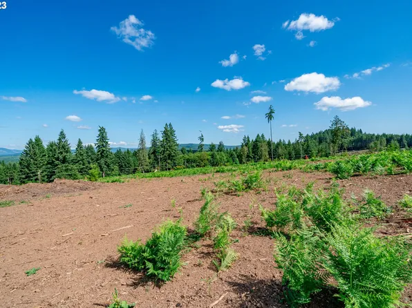 0 S Silver Lake Rd #4, Castle Rock, WA 98611