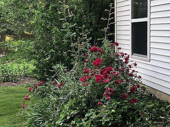 4th image of 98 Totem Ln