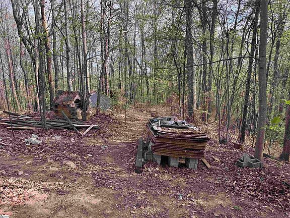 4th image of 100 Chestnut Mountain Rd