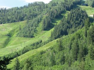 232 W Hyman Ave #5, Aspen, CO 81611