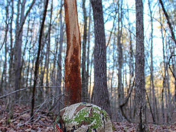 5th image of 0 Indian Gap Trl #0