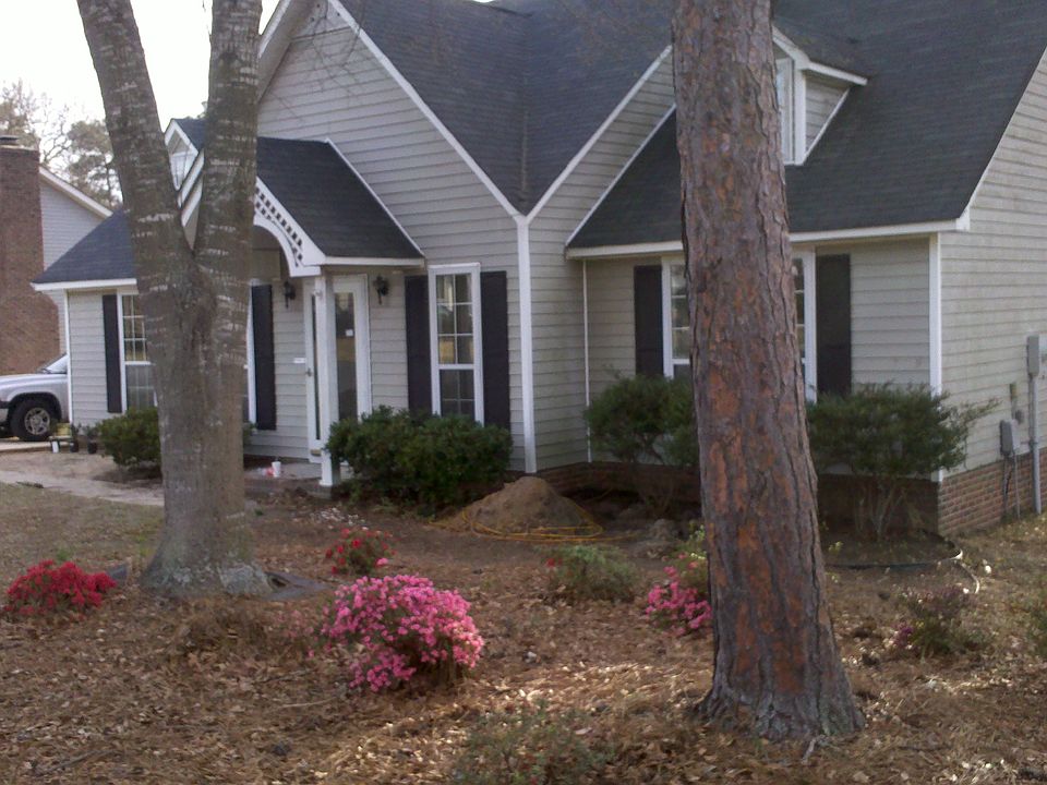 2nd image of 647 Westwood Dr
