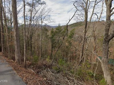 Shady Grove Ln, Gatlinburg, TN, 37738
