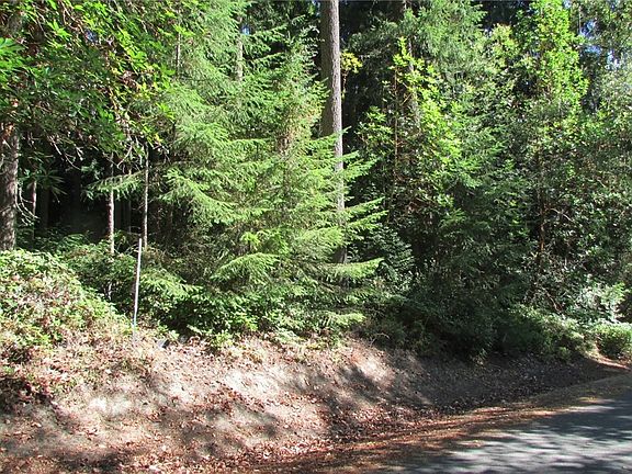 Corner of the property.
