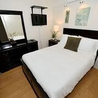 Rented by Eisenberg Exclusives | media 34