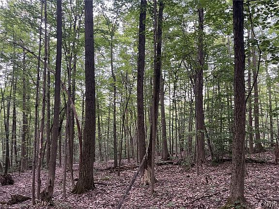 3rd image of 6950 Conesus Springwater Rd