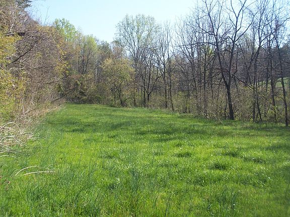 Meadow w/ Stream