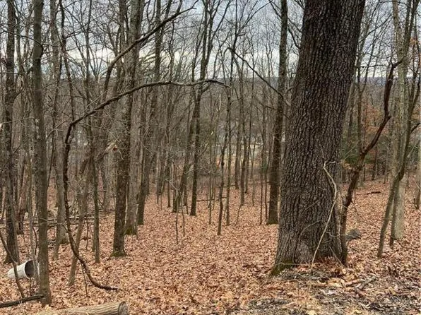 Faber Cir #36, Tannersville, PA 18372