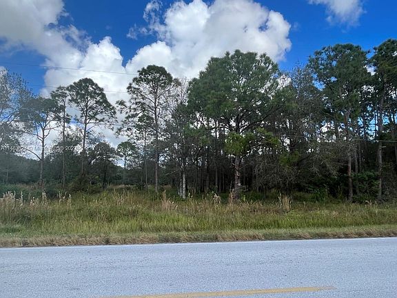 5th image of 817 Woodland Blvd