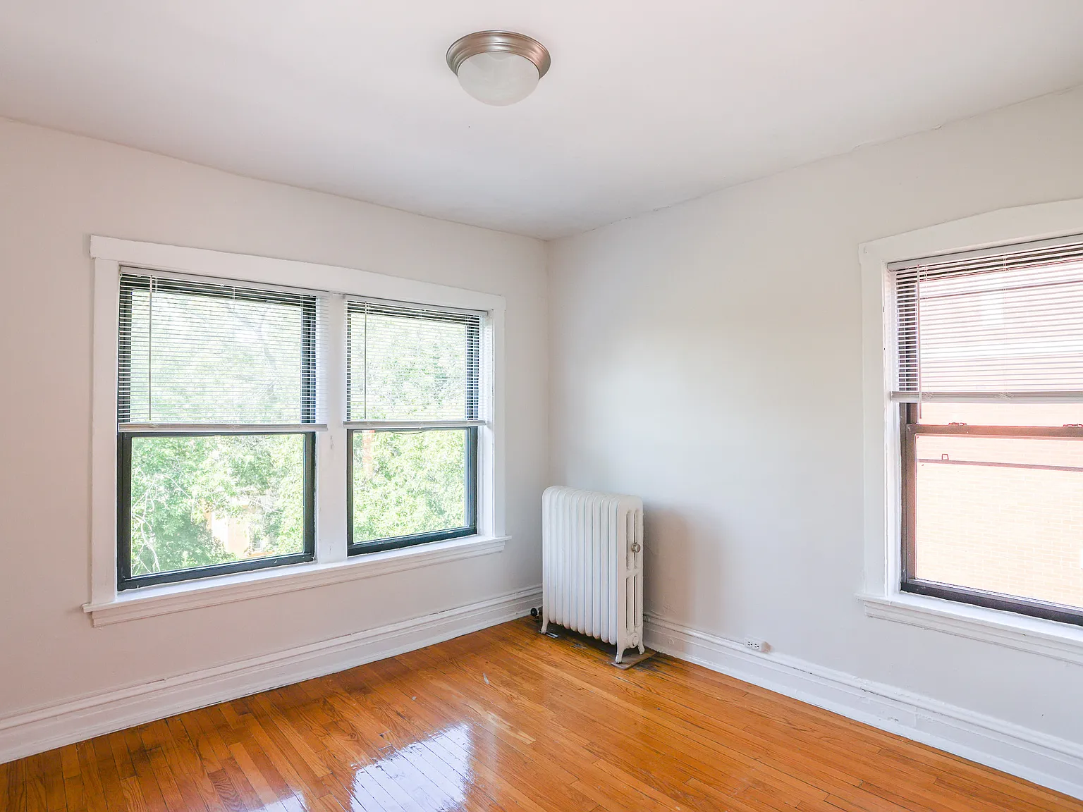 1 bed, 1.0 bath, $1,645 — Photo 3
